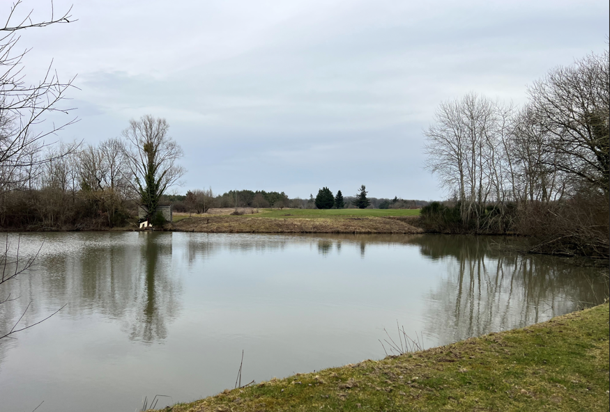 Nettoyage du trou n°11